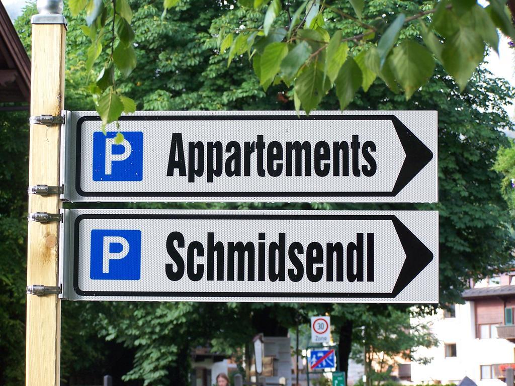 Appartements Schmidsendl Lofer Eksteriør bilde